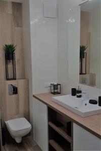 a bathroom with a white sink and a toilet at Apartament New York Różana 19 in Poznań