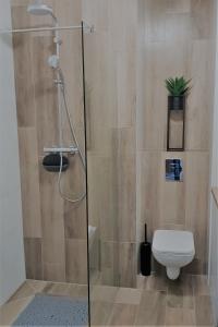 a bathroom with a glass shower with a toilet at Apartament New York Różana 19 in Poznań