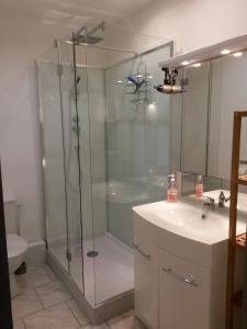 a bathroom with a shower and a toilet and a sink at Gîtes Ciel Bleu in Rethel +24 photos