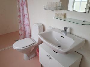 a bathroom with a sink and a toilet at Röda Stallet Bed & Breakfast in Hjo