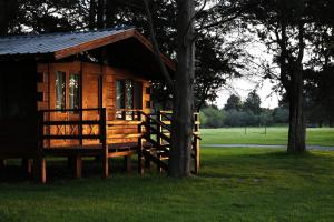 a wooden cabin with a tree in the grass at Estancia Laguna Vitel in Chascomús