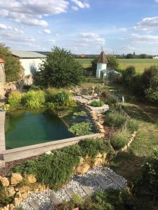 Imagen de la galería de Maison d'hôtes LES RAINETTES, en Breuillet