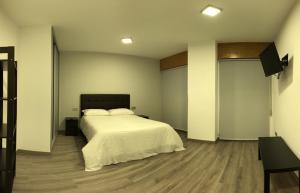 TV a/nebo společenská místnost v ubytování Apartamentos Augusto