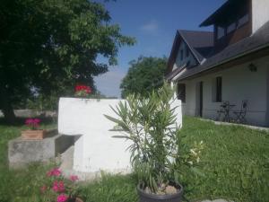 una planta en un patio junto a una pared blanca en Kutny Residence -Chateau Schaal, en Hegyhátsál