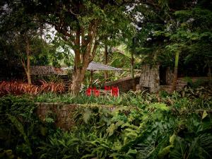ネイビスにあるGolden Rock Nevisの庭の赤いベンチと傘