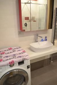 eine Waschmaschine im Bad mit Waschbecken in der Unterkunft La Bella Italia in Desenzano del Garda + 31 Fotos