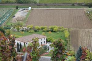 Zahrada ubytování Hôtel Le Domaine des Vignes Ampuis Lyon Sud Vienne
