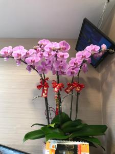 Fotografija v galeriji nastanitve Vve Vve Hotel v mestu Hong Kong