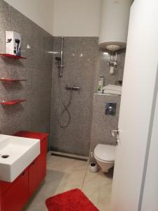 a bathroom with a shower and a sink and a toilet at Apartment Meschnik in Graz