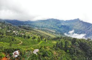 旅馆周边自然景观
