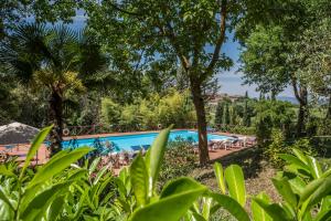 Swimmingpoolen hos eller tæt på Castel Pietraio