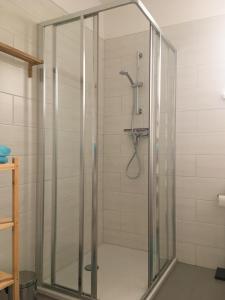 a shower with a glass enclosure in a bathroom at Haus-Iris-Mauerbach in Mauerbach