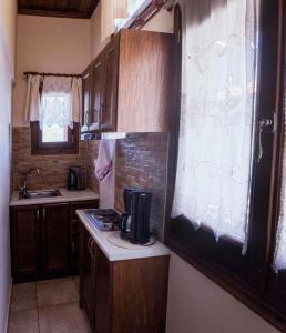 Kuchyň nebo kuchyňský kout v ubytování Guesthouse Theodorou