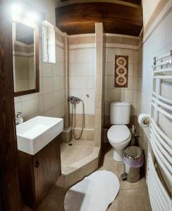 a small bathroom with a sink and a toilet at Guesthouse Theodorou in Elati Trikalon
