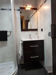 a bathroom with a sink and a shower and a mirror at Apartamentos Turísticos "El Jardín" in Teruel