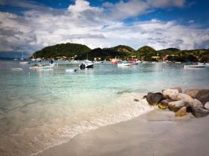 una playa con muchos barcos en el agua en Appt La Rose du Désert, en Terre-de-Haut 7 fotos más