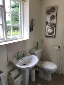 a bathroom with a sink and a toilet and a window at High Mead in Woodsford