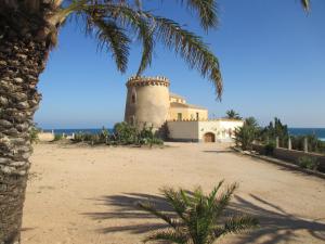 Naturlandskabet i nærheden af lejligheden