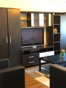 A television and/or entertainment centre at Apartament Belvedere