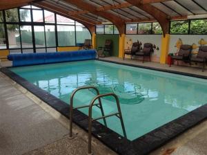 a large swimming pool with blue water in a building at Marineland Beachfront Accommodation in Napier
