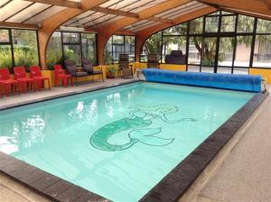 納皮爾的住宿－海洋世界汽車旅館，游泳池,上面有蛇画