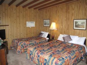 Un pat sau paturi într-o cameră la Blue Mountain Motel