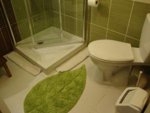 ein Badezimmer mit einer Dusche, einem WC und einem Teppich in der Unterkunft MER à pied Vrai lit LINGE FOURNI Jardin LOCAL vélos in Brétignolles-sur-Mer + 19 Fotos