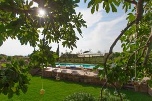 The swimming pool at or close to FicOlivo