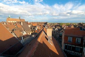 a view of a city with roofs of buildings at Loft Spa Cathedrale in Colmar