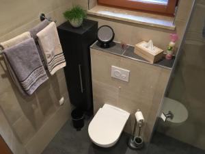 Ένα μπάνιο στο Ferienwohnung Saaletalblick +46 φωτογραφίες