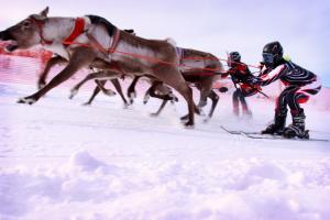 Hosté ubytování Thon Hotel Kautokeino