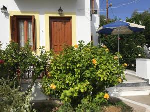 A garden outside Livanina apartments