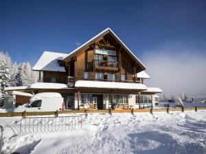 トゥルラッハー・ヘーエにあるCozy Apartment near Ski Area in Turracherhoheのギャラリーの写真