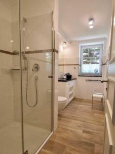 een badkamer met een douche en een toilet bij VillaStrandEins Fewo Stella in Rerik