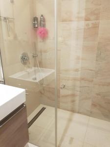 W łazience znajduje się szklana kabina prysznicowa i umywalka. w obiekcie Praha Karibik w Pradze