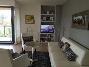 salon z kanapą, stołem i telewizorem w obiekcie Praha Karibik w Pradze