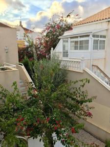 Fotografie z fotogalerie ubytování Los Altos JS sisters apartament v destinaci La Florida