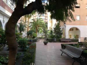 a park with a bench and palm trees and buildings at La casa de Blanca. Coqueto piso céntrico y cerca de todo in Almería