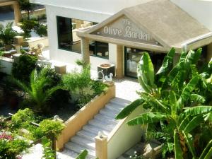 Zahrada ubytování Olive Garden Hotel