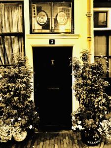 une porte d'entrée noire d'une maison avec deux plantes dans l'établissement BIJZONDER OVERNACHTEN tZEEUWSE KLOPPERTJE, à Middelbourg