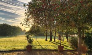 een groep bomen in een veld waar de zon schijnt bij Crouchers Hotel in Chichester