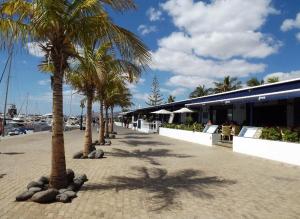 a row of palm trees on a sidewalk next to a building at Noray Swan in Puerto Calero
