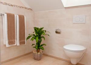 a bathroom with a toilet and a plant in it at Pension Weindl in Notzing