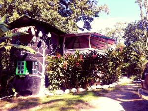 dom z zielonym oknem i roślinami w obiekcie Madre Selva Hostel w mieście Puerto Viejo