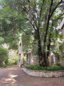 a large tree in front of a building at Sugarbush Accommodation in Vereeniging