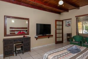 a bedroom with a tv and a bed and a mirror at Manzini Chalets in St Lucia