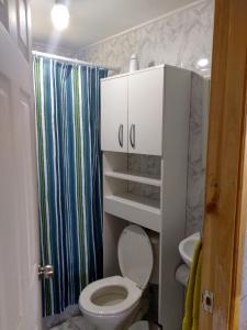 a small bathroom with a toilet and a shower at Cabañas Lomas de Ten Ten in Castro