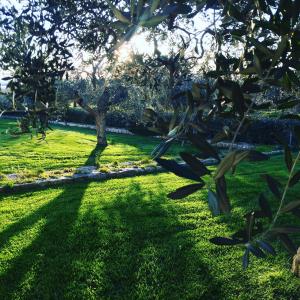 Jardín al aire libre en Masseria Gravelle