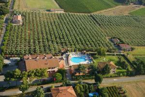 マリーナ・ディ・チェーチナにあるAgrihotel Elisabettaのスイミングプールとブドウ畑のある家の空中を望む