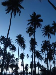 Fotografie z fotogalerie ubytování Hotel D'Anatureza v destinaci Maceió